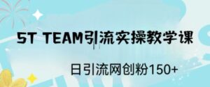 ST TEAM引流实操课，日引流网创粉100+-湖南汶篮网络科技有限公司
