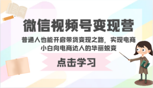 微信视频号变现营-普通人也能开启带货变现之路，实现电商小白向电商达人的华丽蜕变-湖南汶篮网络科技有限公司