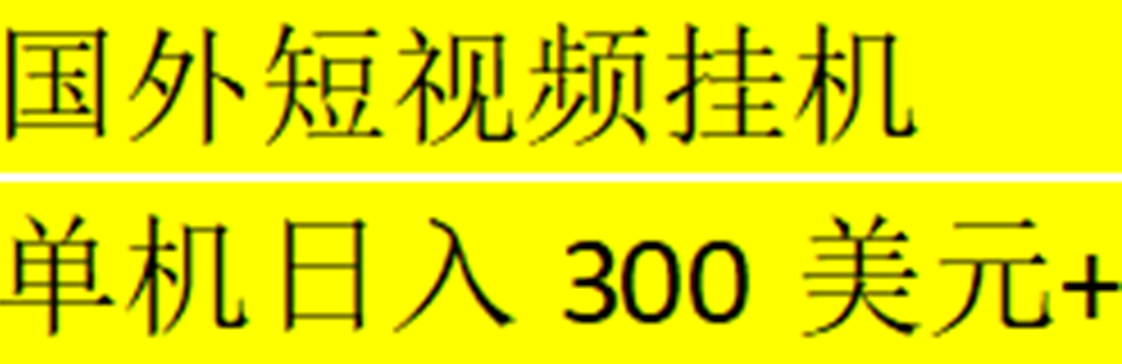 海外暴力短视频挂机全自动撸美金 单机日入300美元+【脚本免费+一对一指导】-湖南汶篮网络科技有限公司