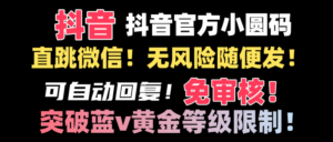抖音二维码直跳微信技术！站内随便发不违规！！-湖南汶篮网络科技有限公司