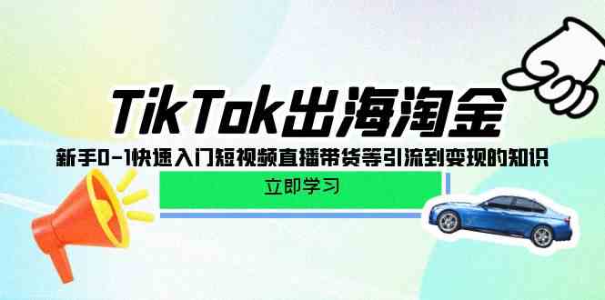 TikTok出海淘金，新手0-1快速入门短视频直播带货等引流到变现的知识-湖南汶篮网络科技有限公司