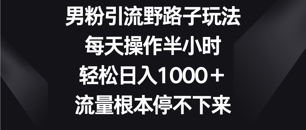 男粉引流野路子玩法，每天操作半小时轻松日入1000＋，流量根本停不下来-湖南汶篮网络科技有限公司