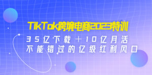 TikTok跨境电商2023特训：35亿下载＋10亿月活，不能错过的亿级红利风口-湖南汶篮网络科技有限公司