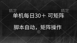 （10100期）单机每日30＋ 可矩阵，脚本自动 稳定躺赚-湖南汶篮网络科技有限公司