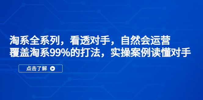 淘系全系列,看透对手,自然会运营,覆盖淘系99%·打法,实操案例读懂对手-湖南汶篮网络科技有限公司