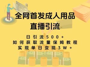 最新全网独创首发,成人用品直播引流获客暴力玩法,单日变现3w保姆级教程-湖南汶篮网络科技有限公司