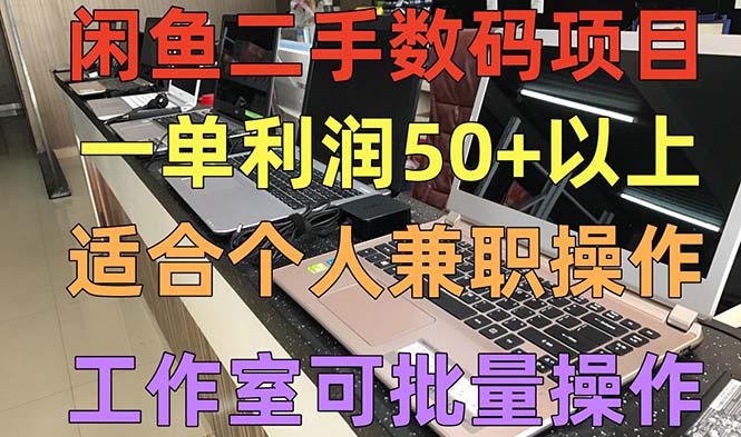 闲鱼二手数码项目，个人副业低保收入一单50+以上，工作室批量放大操作-湖南汶篮网络科技有限公司