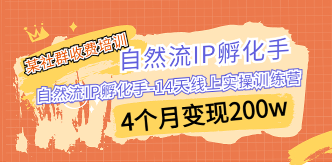 某社群收费培训:自然流IP 孵化手-14天线上实操训练营 4个月变现200w-湖南汶篮网络科技有限公司