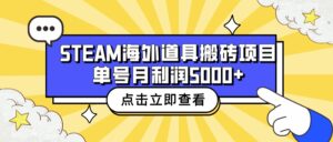 收费6980的Steam海外道具搬砖项目,单号月收益5000+全套实操教程-湖南汶篮网络科技有限公司