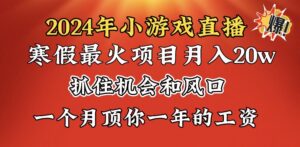 2024年寒假爆火项目，小游戏直播月入20w+，学会了之后你将翻身-湖南汶篮网络科技有限公司