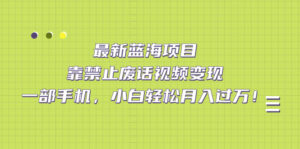 最新蓝海项目，靠禁止废话视频变现，一部手机，小白轻松月入过万！-湖南汶篮网络科技有限公司