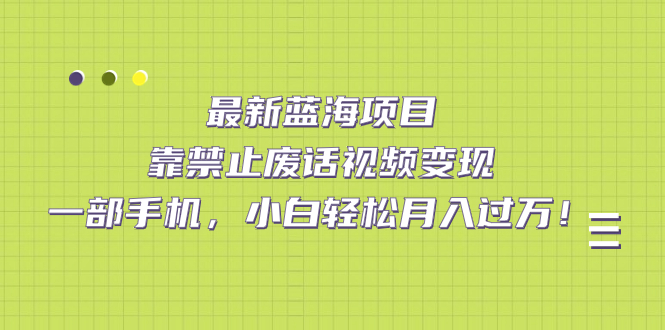 最新蓝海项目，靠禁止废话视频变现，一部手机，小白轻松月入过万！-湖南汶篮网络科技有限公司