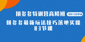 2023拼多多·特训营高阶班【9月19日更新】拼多多最新玩法技巧落地实操-83节-湖南汶篮网络科技有限公司