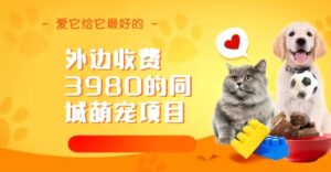 同城萌宠项目，用最冷门的玩法冲击最热门的市场（教程+素材）-湖南汶篮网络科技有限公司