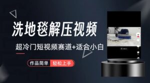 超冷门抖音短视频赛道-清洗地毯解压视频-简单无脑怼作品(教程+素材)-湖南汶篮网络科技有限公司