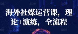 海外社媒运营课，理论+演练，全流程-湖南汶篮网络科技有限公司