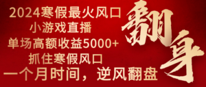 2024年最火寒假风口项目 小游戏直播 单场收益5000+抓住风口 一个月直接提车-湖南汶篮网络科技有限公司