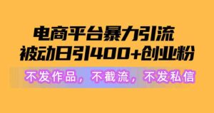 （10168期）电商平台暴力引流,被动日引400+创业粉不发作品，不截流，不发私信-湖南汶篮网络科技有限公司