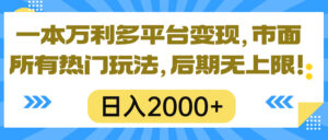 (10311期)一本万利多平台变现,市面所有热门玩法,日入2000+,后期无上限!-湖南汶篮网络科技有限公司