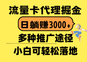 (10771期)流量卡代理掘金,日躺赚3000+,首码平台变现更暴力,多种推广途径,新…-湖南汶篮网络科技有限公司