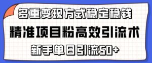 精准项目粉高效引流术，新手单日引流50+，多重变现方式稳定赚钱-湖南汶篮网络科技有限公司