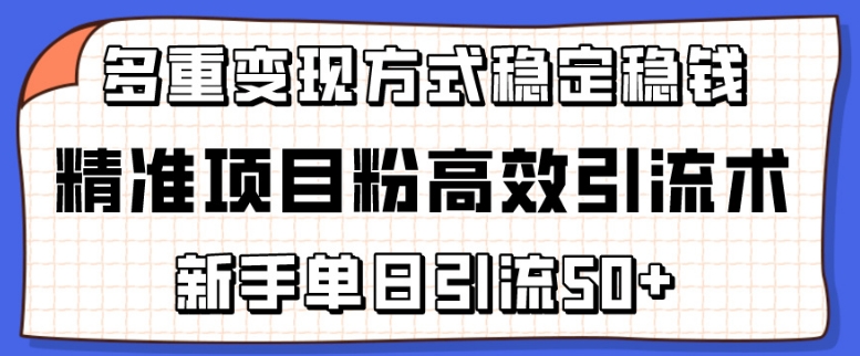 精准项目粉高效引流术,新手单日引流50+,多重变现方式稳定赚钱-湖南汶篮网络科技有限公司