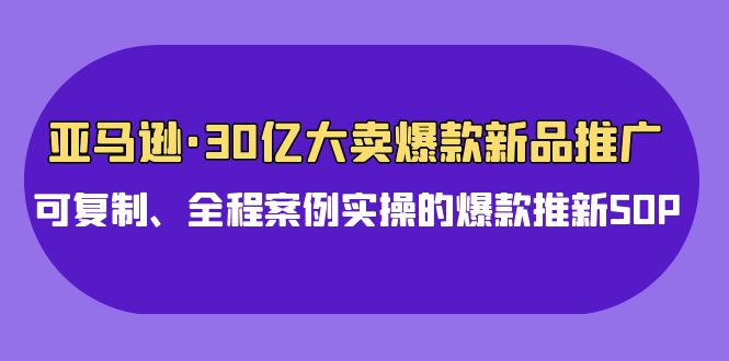 亚马逊30亿大卖爆款新品推广，可复制、全程案例实操的爆款推新SOP-湖南汶篮网络科技有限公司