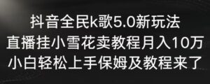 抖音全民k歌5.0新玩法,直播挂小雪花卖教程月入10万,小白轻松上手,保姆及教程来了-湖南汶篮网络科技有限公司