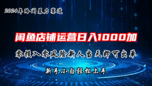 2024闲鱼冷门暴力赛道，新人当天即可出单，每天100单，日入1000加-湖南汶篮网络科技有限公司