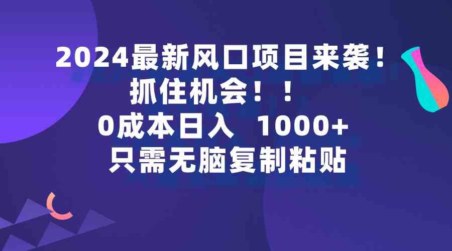 (9899期)2024最新风口项目来袭,抓住机会,0成本一部手机日入1000+,只需无脑复…-湖南汶篮网络科技有限公司