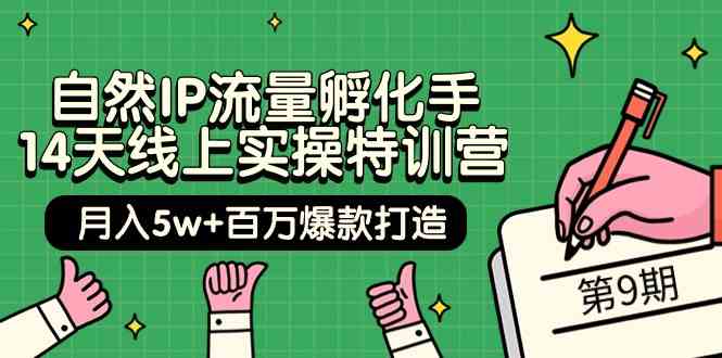 自然IP流量孵化手14天线上实操特训营【第9期】月入5w+百万爆款打造 (74节)-湖南汶篮网络科技有限公司