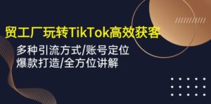 外贸工厂玩转TikTok高效获客，多种引流方式/账号定位/爆款打造/全方位讲解-湖南汶篮网络科技有限公司