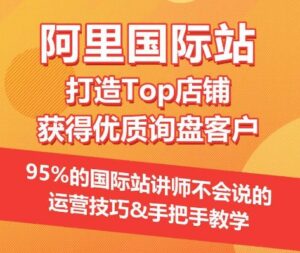 【阿里国际站】打造Top店铺&获得优质询盘客户，​95%的国际站讲师不会说的运营技巧-湖南汶篮网络科技有限公司