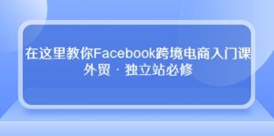 在这里教你Facebook跨境电商入门课,外贸·独立站必修(19节课)-湖南汶篮网络科技有限公司