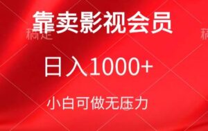 靠卖影视会员，日入1000+，落地保姆级教程，新手可学-湖南汶篮网络科技有限公司
