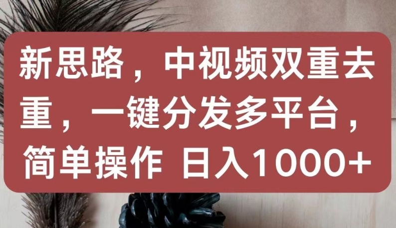 新思路，中视频双重去重，一键分发多平台，简单操作，日入1000+-湖南汶篮网络科技有限公司