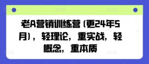 老A营销训练营(更24年5月),轻理论,重实战,轻概念,重本质-湖南汶篮网络科技有限公司