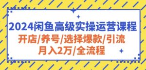 2024闲鱼高级实操运营课程：开店/养号/选择爆款/引流/月入2万/全流程-湖南汶篮网络科技有限公司