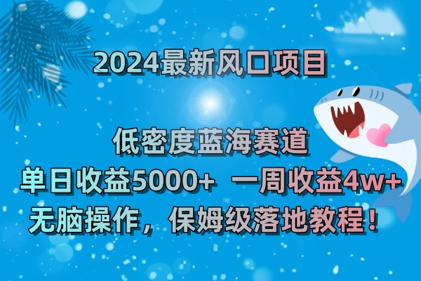 2024最新风口项目 低密度蓝海赛道，日收益5000+周收益4w+ 无脑操作-湖南汶篮网络科技有限公司