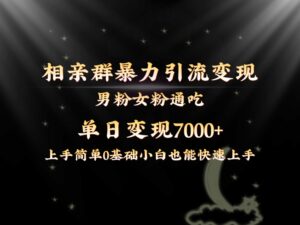 全网首发相亲群暴力引流男粉女粉通吃变现玩法，单日变现7000+保姆教学1.0-湖南汶篮网络科技有限公司
