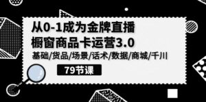 0-1成为金牌直播橱窗商品卡运营3.0，基础/货品/场景/话术/数据/商城/千川-湖南汶篮网络科技有限公司